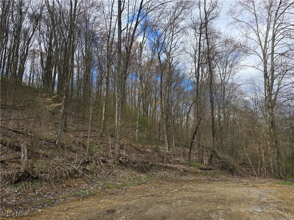 51629 Township Road 146b, Coshocton, Ohio image 26