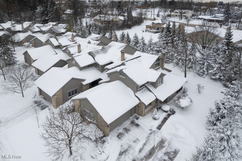 The Village - Residential