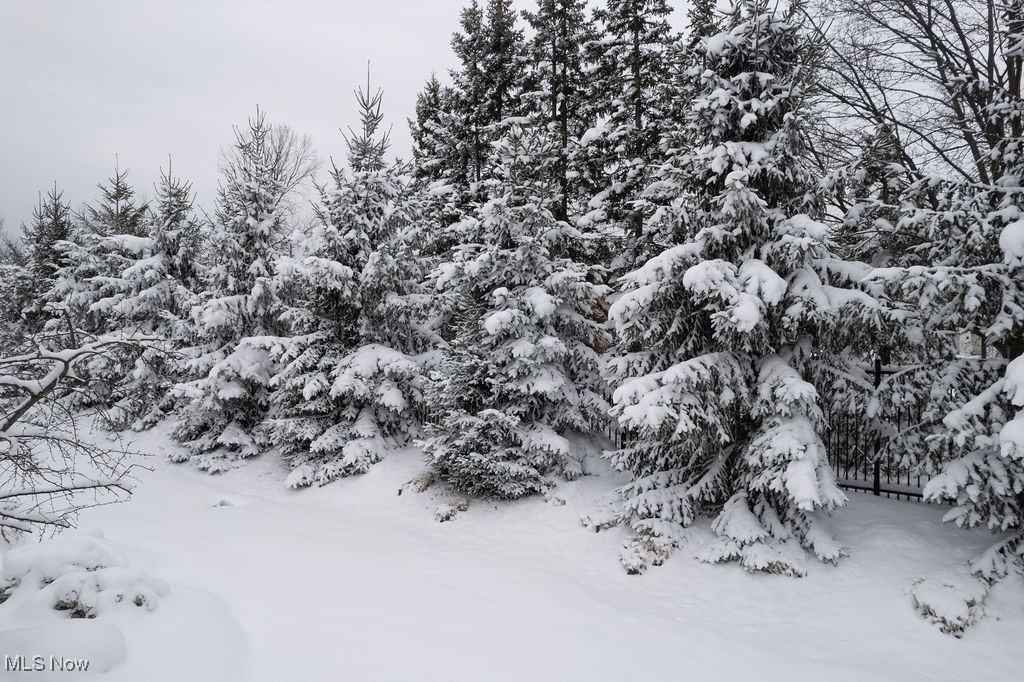 The Village - Residential