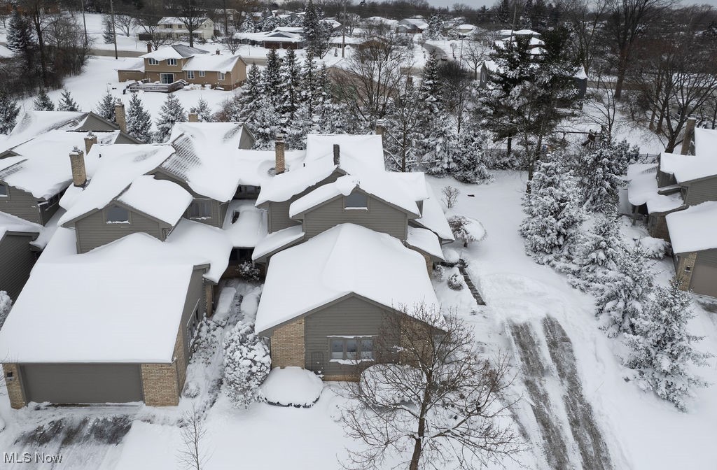 The Village - Residential