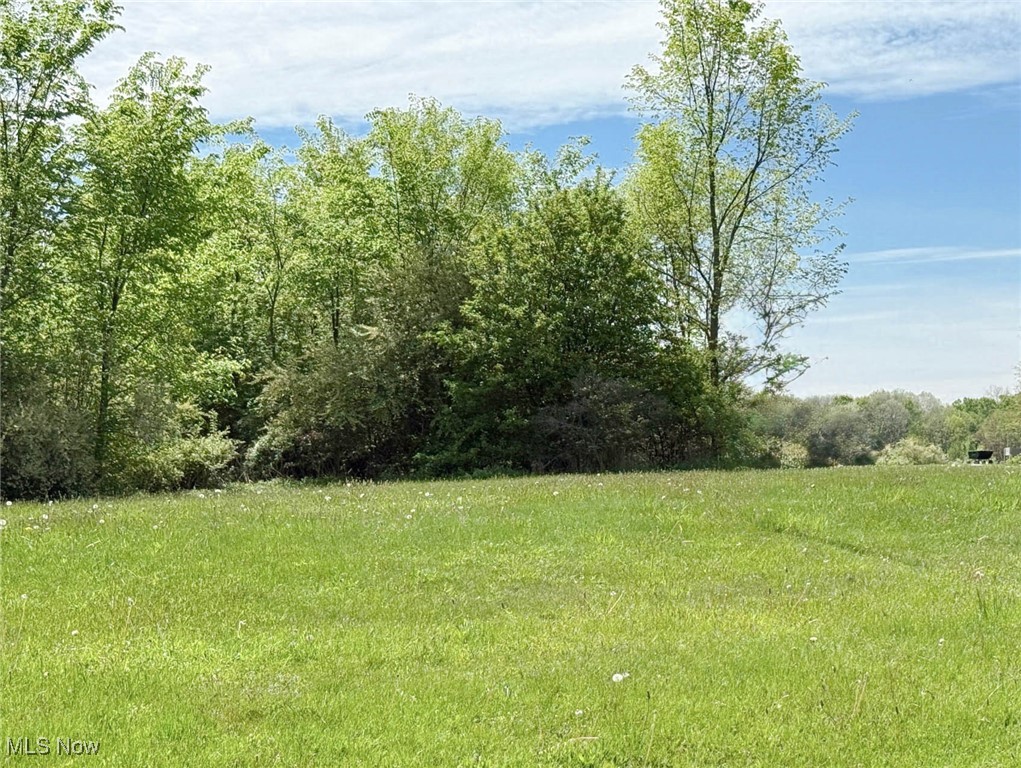 Foxwood Chase 01 - Land