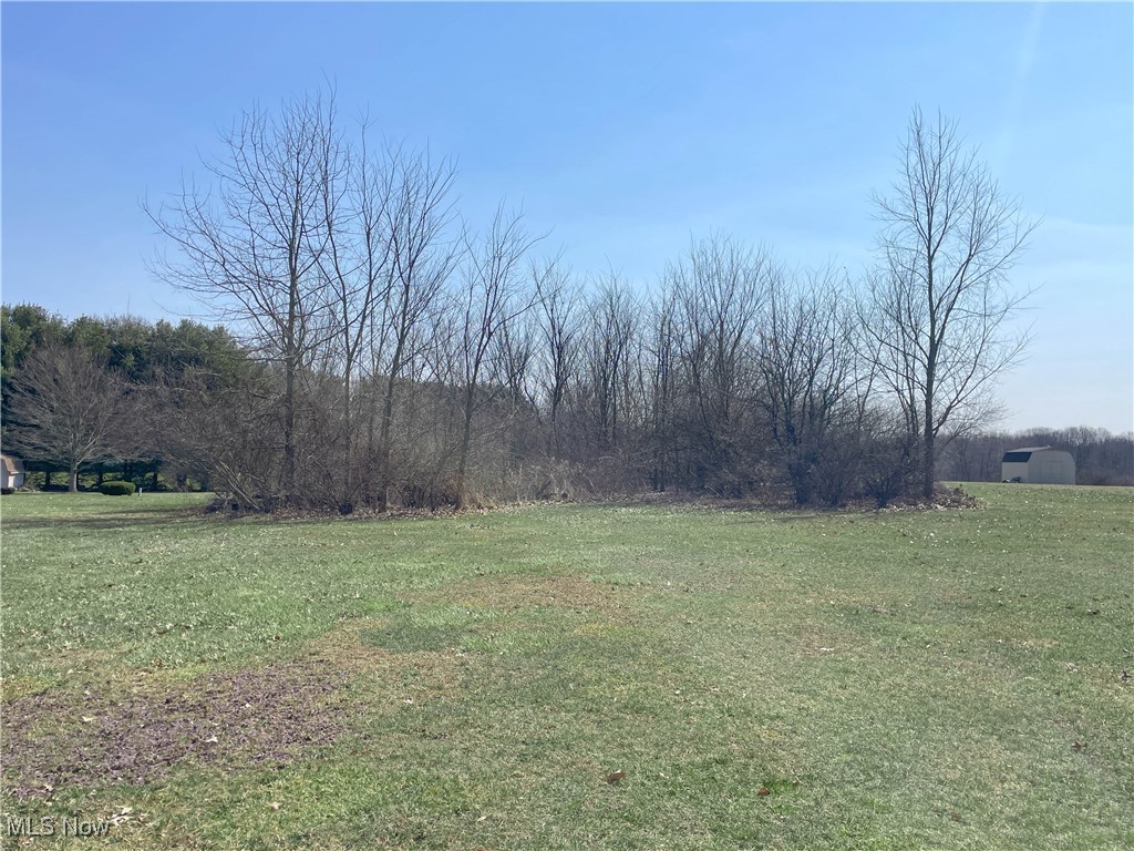 49587 Foxwood Lane, East Palestine, Ohio image 2