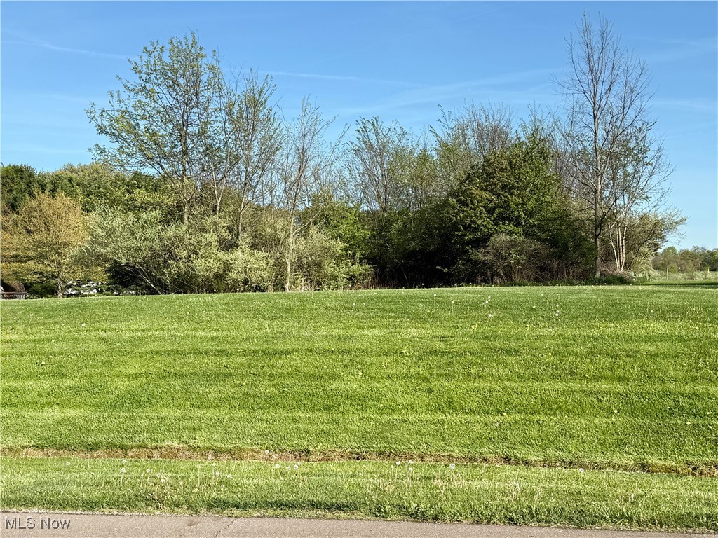 49587 Foxwood Lane, East Palestine, Ohio image 1