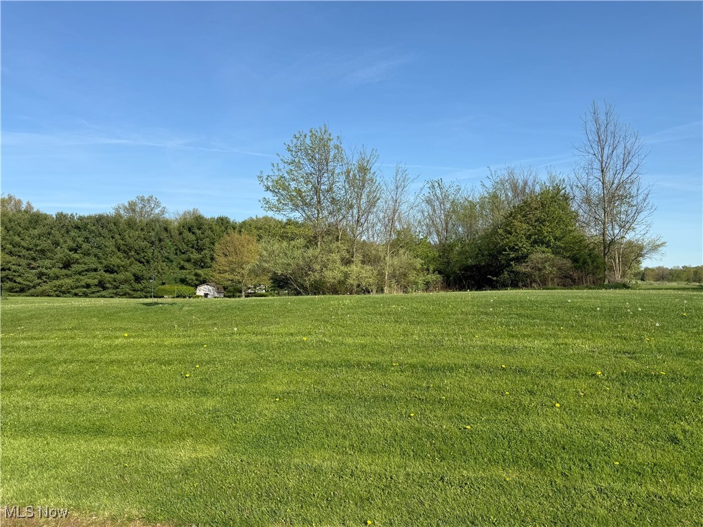 49587 Foxwood Lane, East Palestine, Ohio image 2