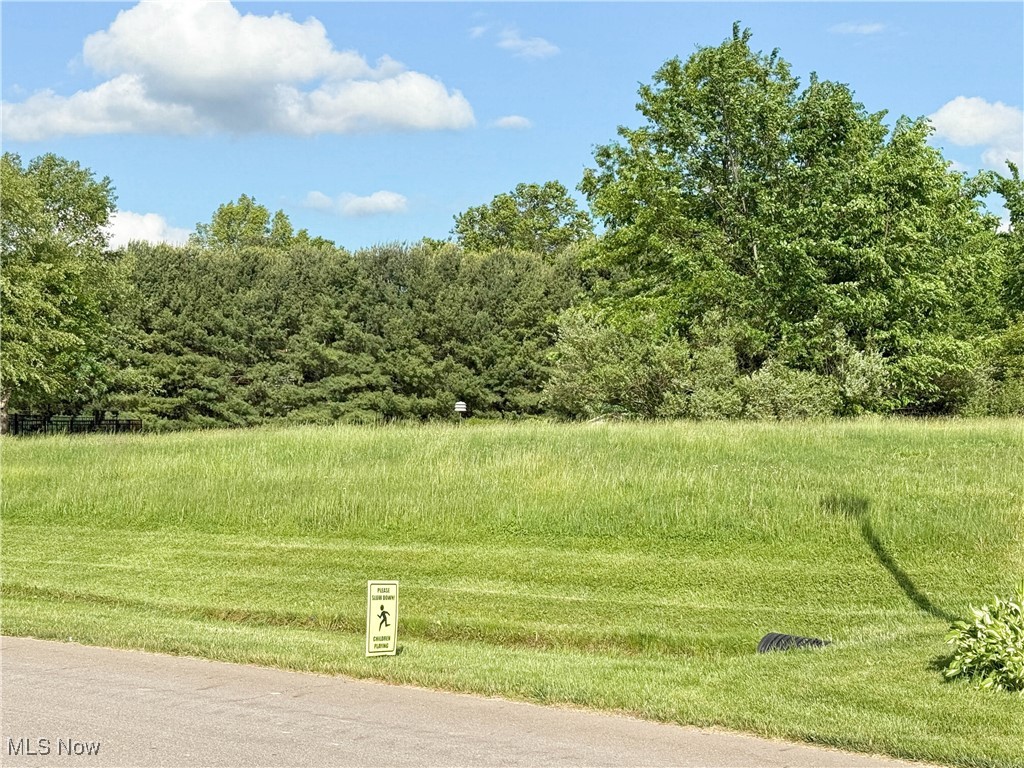 Foxwood Chase 01 - Land