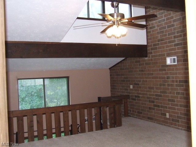 Penguin Condo - Residential