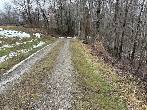 Vacant Land For Sale - Tract 4 Twp Rd 815<br/> Woodsfield, OH 43793