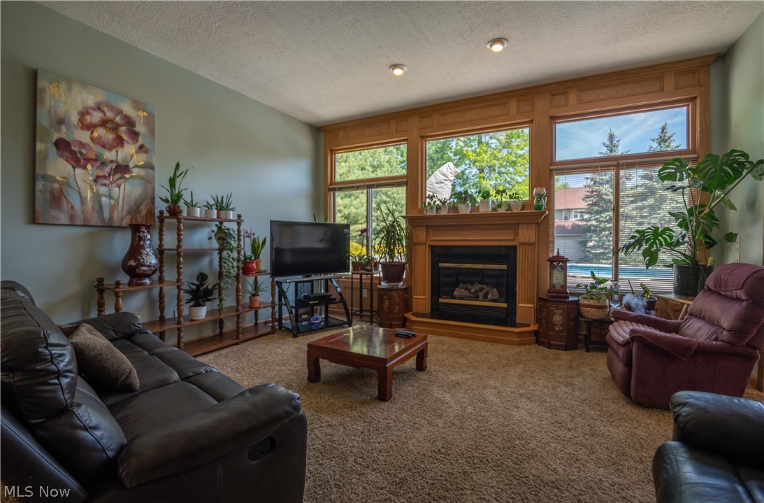 Estates/Mdw Wood Ph 03 Allotm - Residential