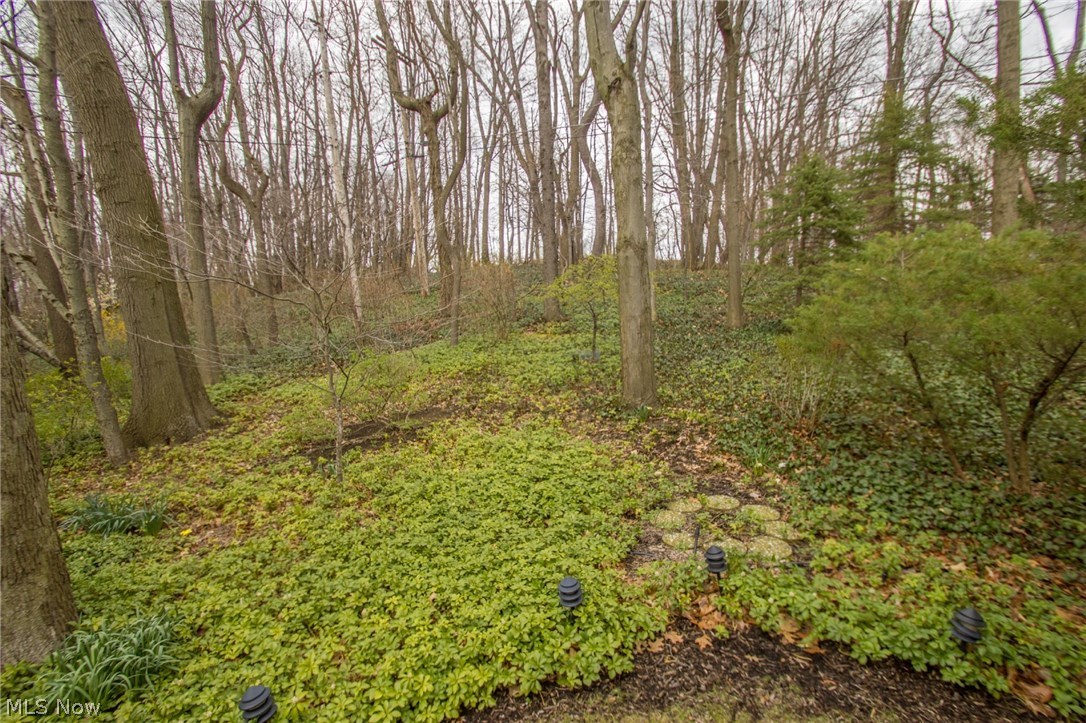 Marian Lake Estates - Residential