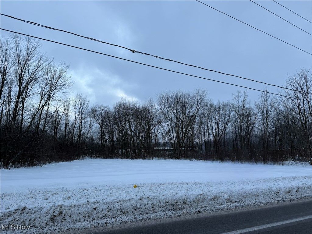 Photo of Niles, Warren, OH 44484 (MLS # 5184301)