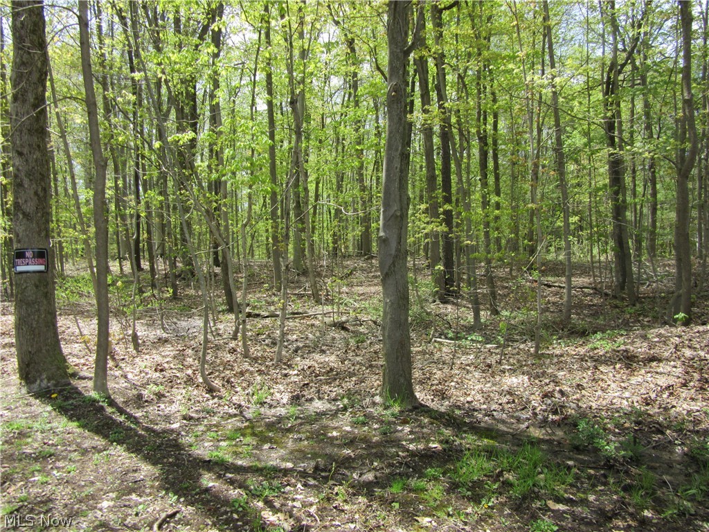 Willow Farm Estates - Land