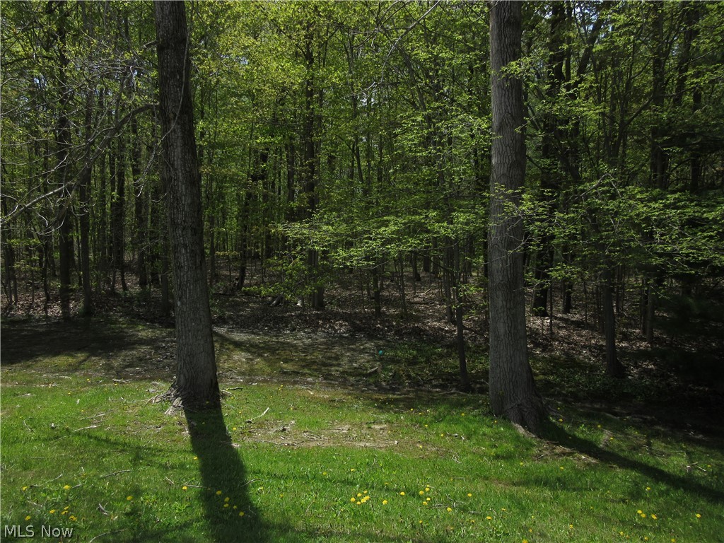 Willow Farm Estates - Land