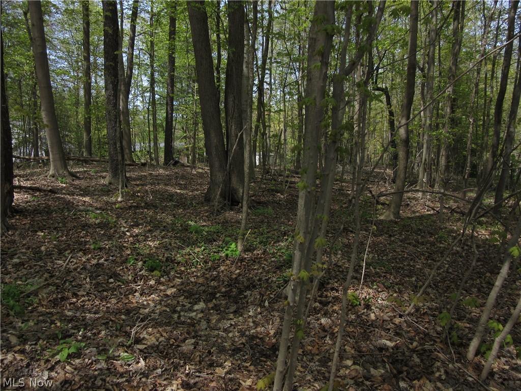 Willow Farm Estates - Land