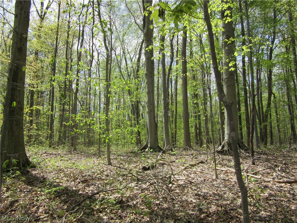 Willow Farm Estates - Land