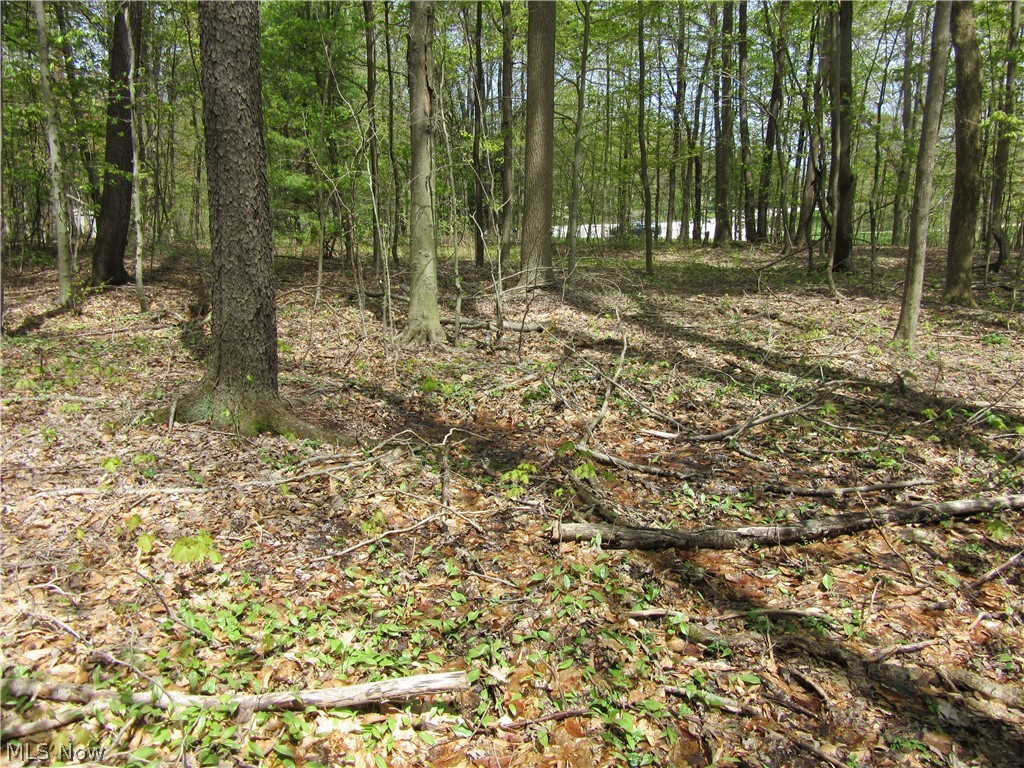 Willow Farm Estates - Land