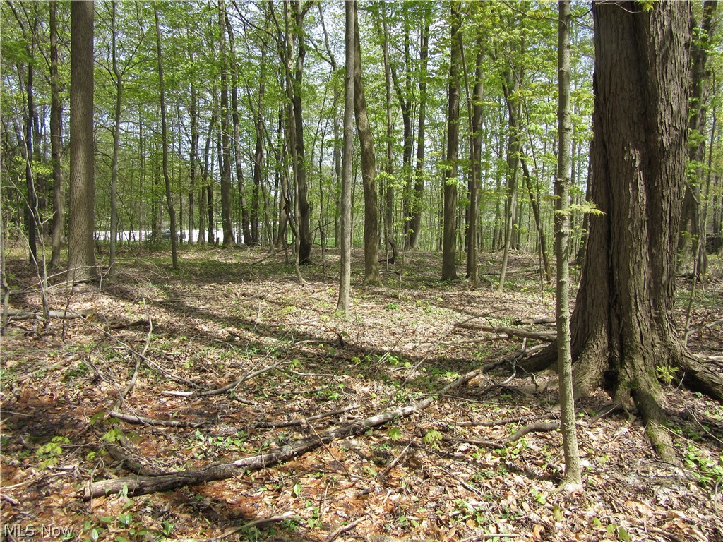 Willow Farm Estates - Land