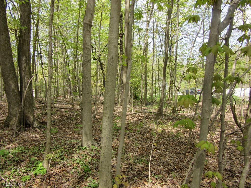 Willow Farm Estates - Land