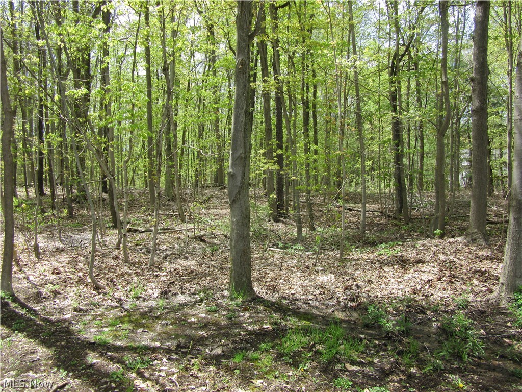 Willow Farm Estates - Land