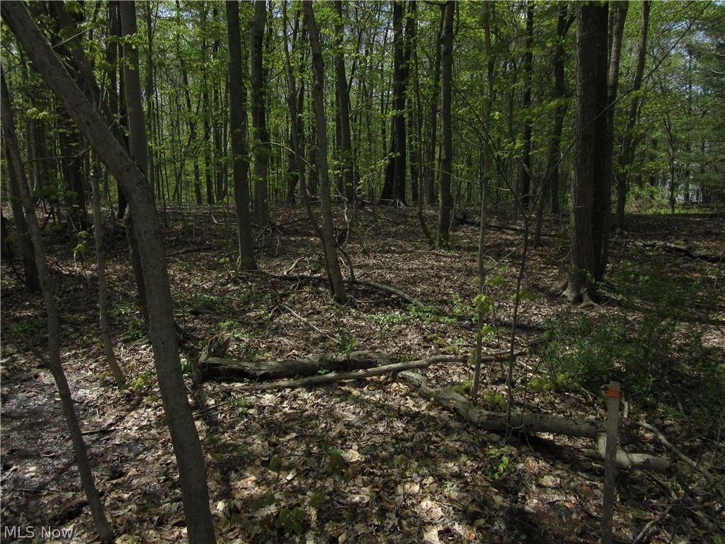 Willow Farm Estates - Land