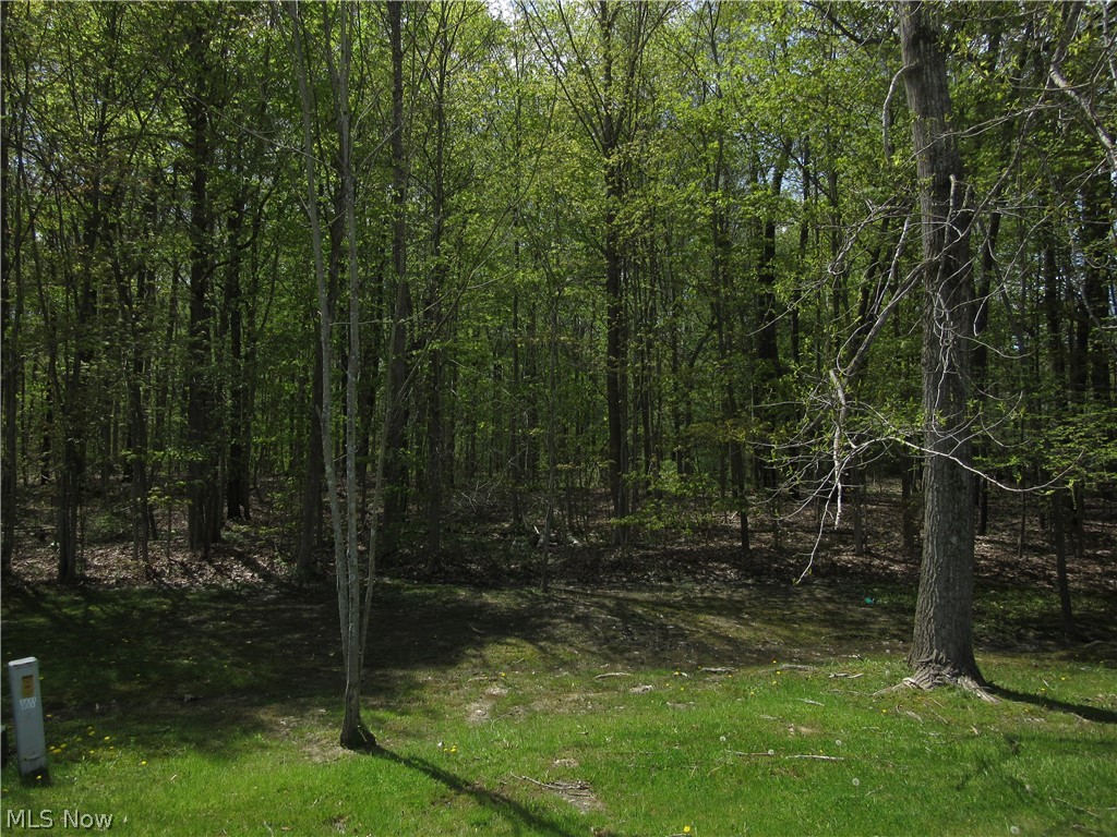 Willow Farm Estates - Land