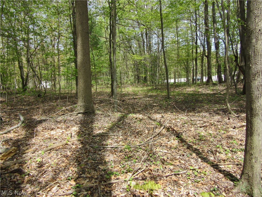 Willow Farm Estates - Land