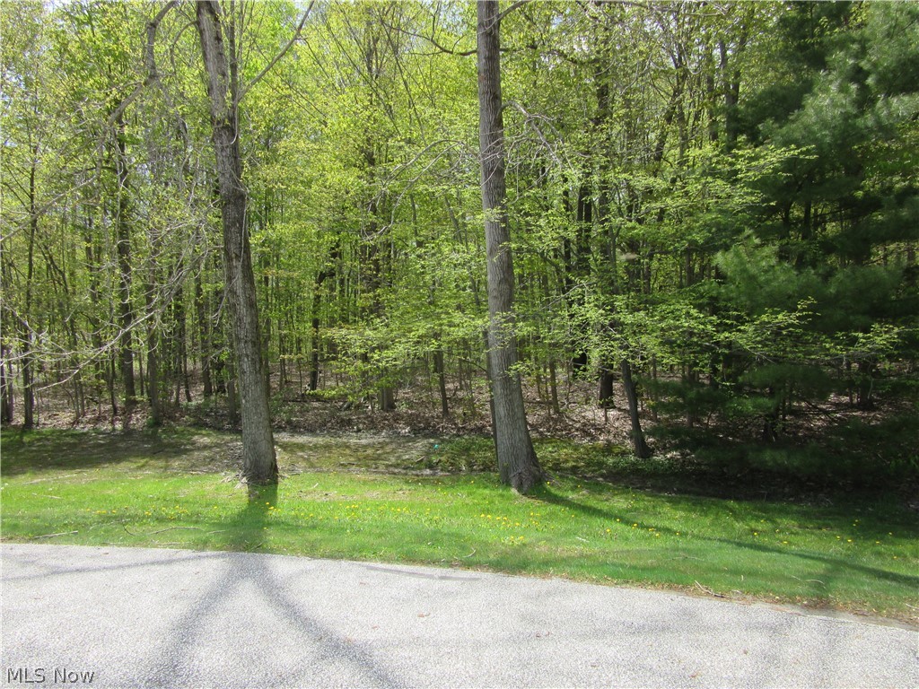 Willow Farm Estates - Land