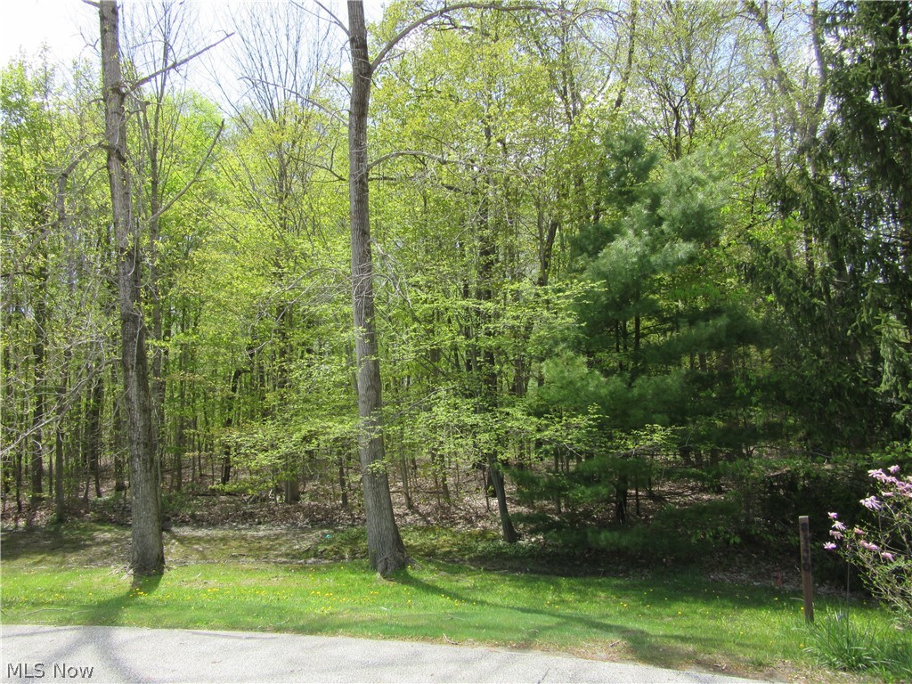 Willow Farm Estates - Land