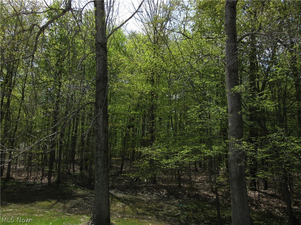 Willow Farm Estates - Land