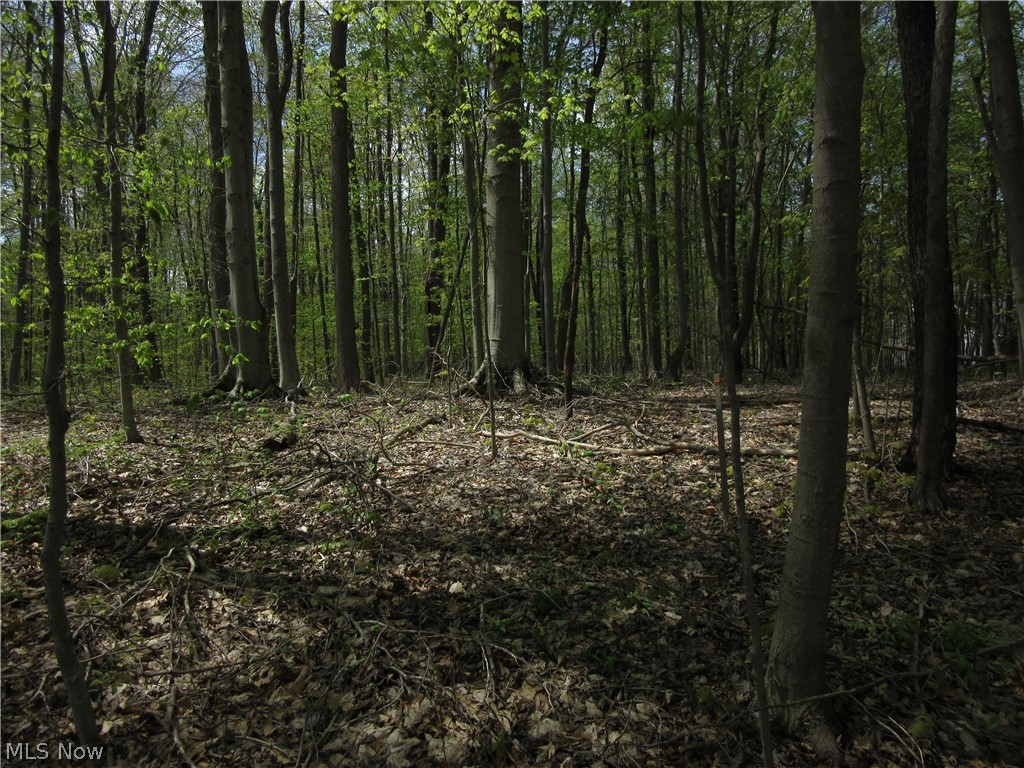 Willow Farm Estates - Land