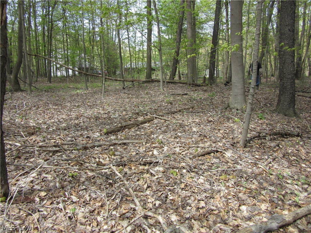 Willow Farm Estates - Land