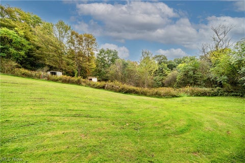 Tiny photo for 5540 State Route 170, East Palestine, OH 44413 (MLS # 5254176)