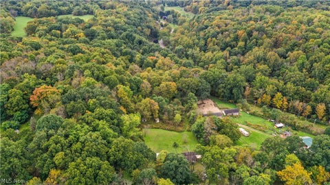 Tiny photo for 5540 State Route 170, East Palestine, OH 44413 (MLS # 5254176)