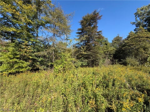 Tiny photo for 5540 State Route 170, East Palestine, OH 44413 (MLS # 5254176)