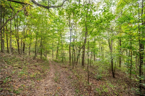 Tiny photo for 5540 State Route 170, East Palestine, OH 44413 (MLS # 5254176)