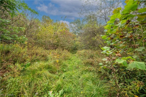 Tiny photo for 5540 State Route 170, East Palestine, OH 44413 (MLS # 5254176)