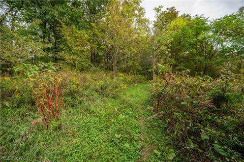Tiny photo for 5540 State Route 170, East Palestine, OH 44413 (MLS # 5254176)
