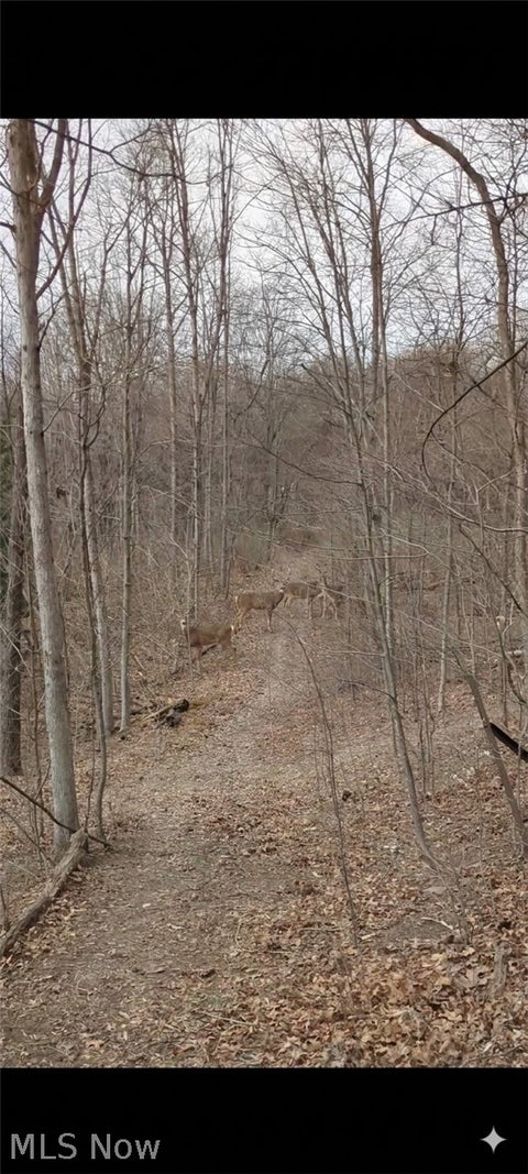 Tiny photo for 5540 State Route 170, East Palestine, OH 44413 (MLS # 5254176)