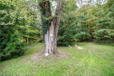 Tiny photo for 5540 State Route 170, East Palestine, OH 44413 (MLS # 5254176)