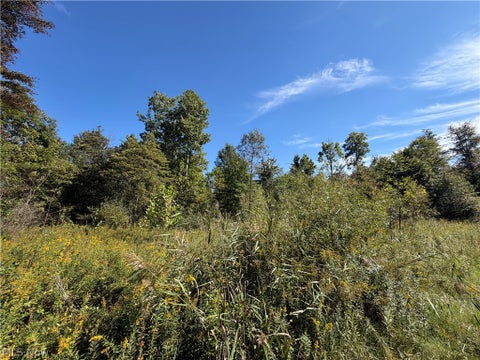 Tiny photo for 5540 State Route 170, East Palestine, OH 44413 (MLS # 5254176)
