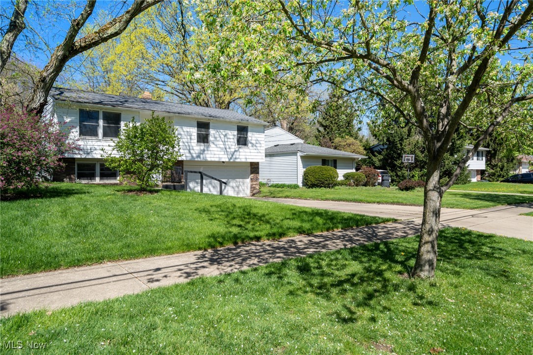 6414 Glenallen Avenue, Solon, Ohio image 4