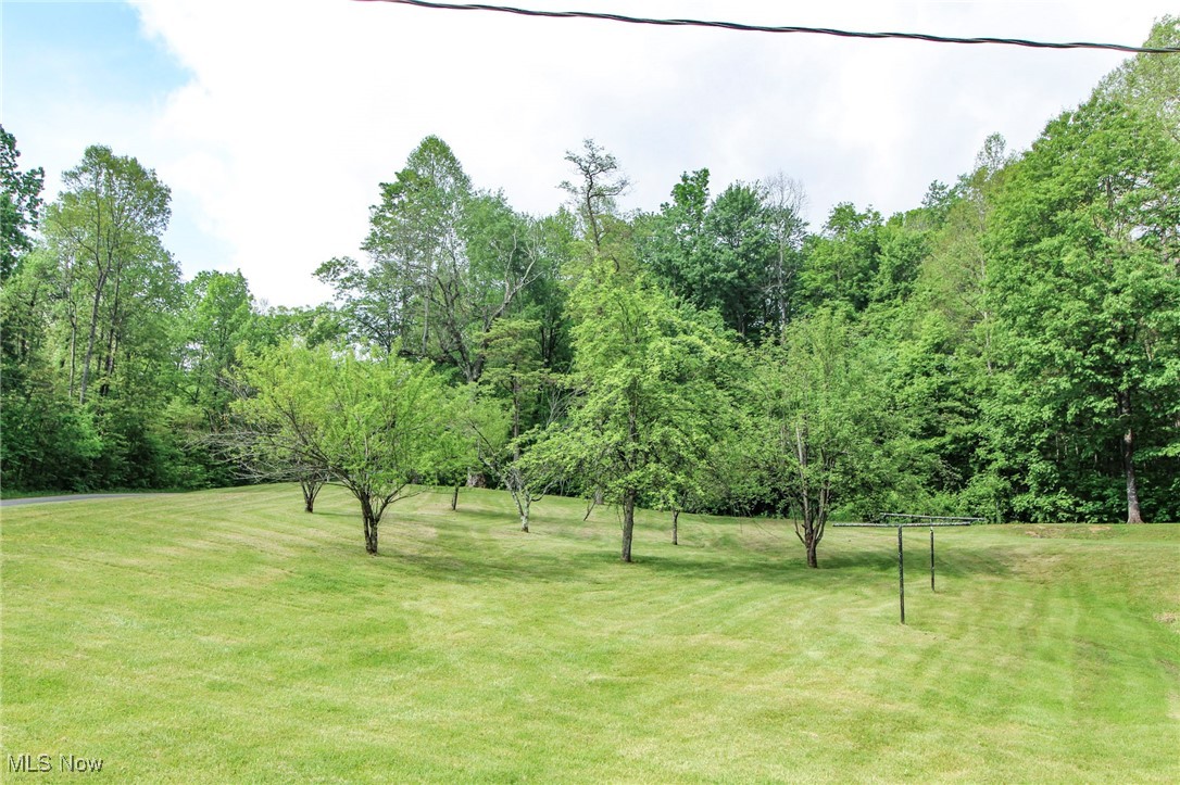 10195 Goosecreek Road, Roseville, Ohio image 36