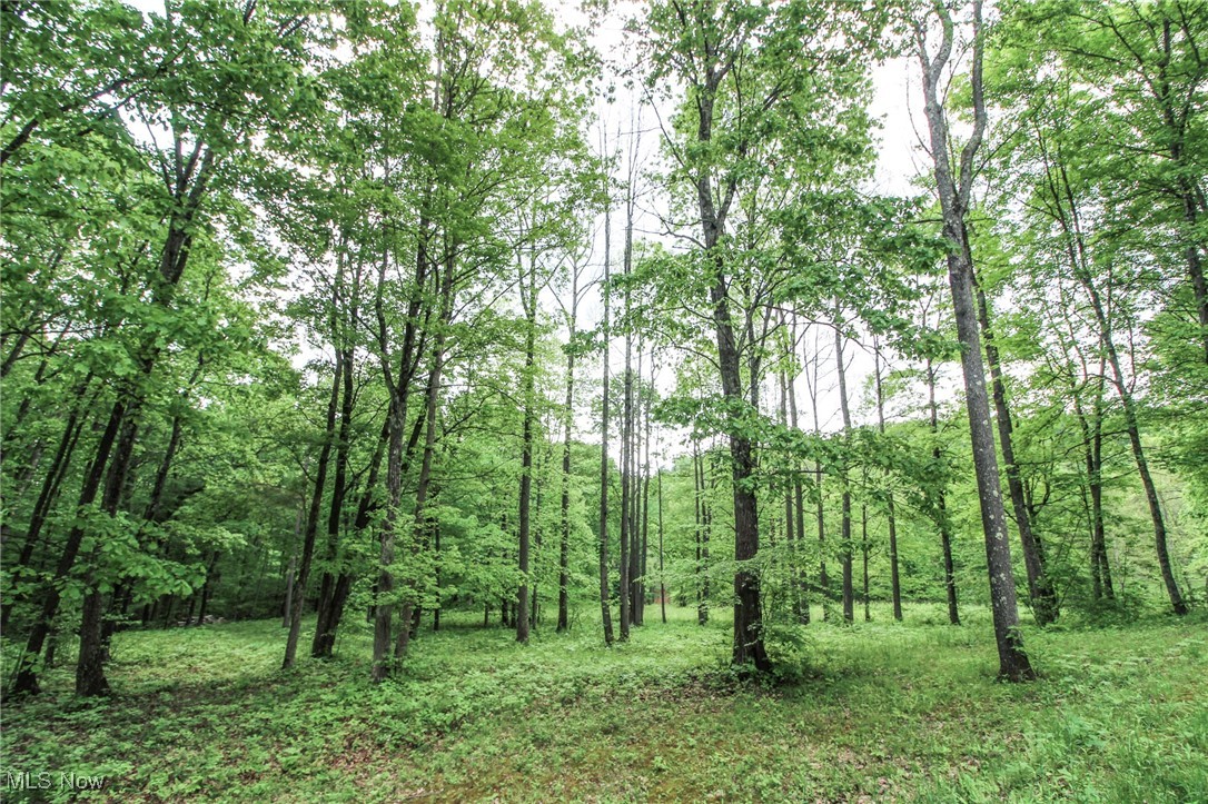10195 Goosecreek Road, Roseville, Ohio image 43