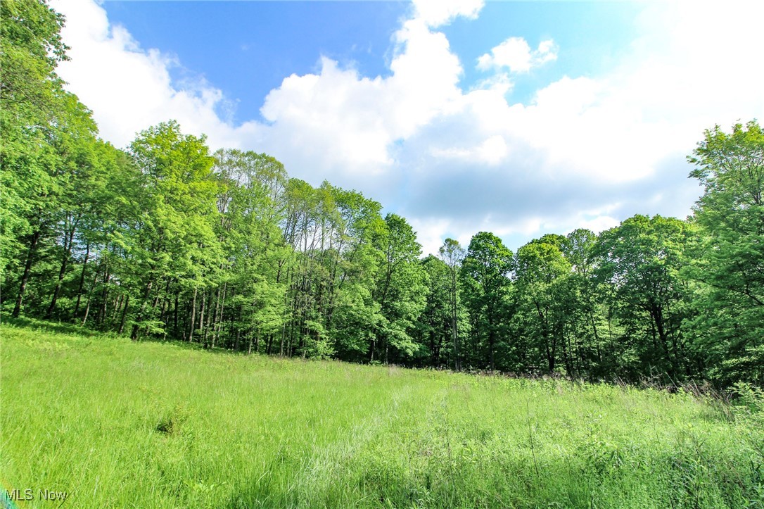 10195 Goosecreek Road, Roseville, Ohio image 46
