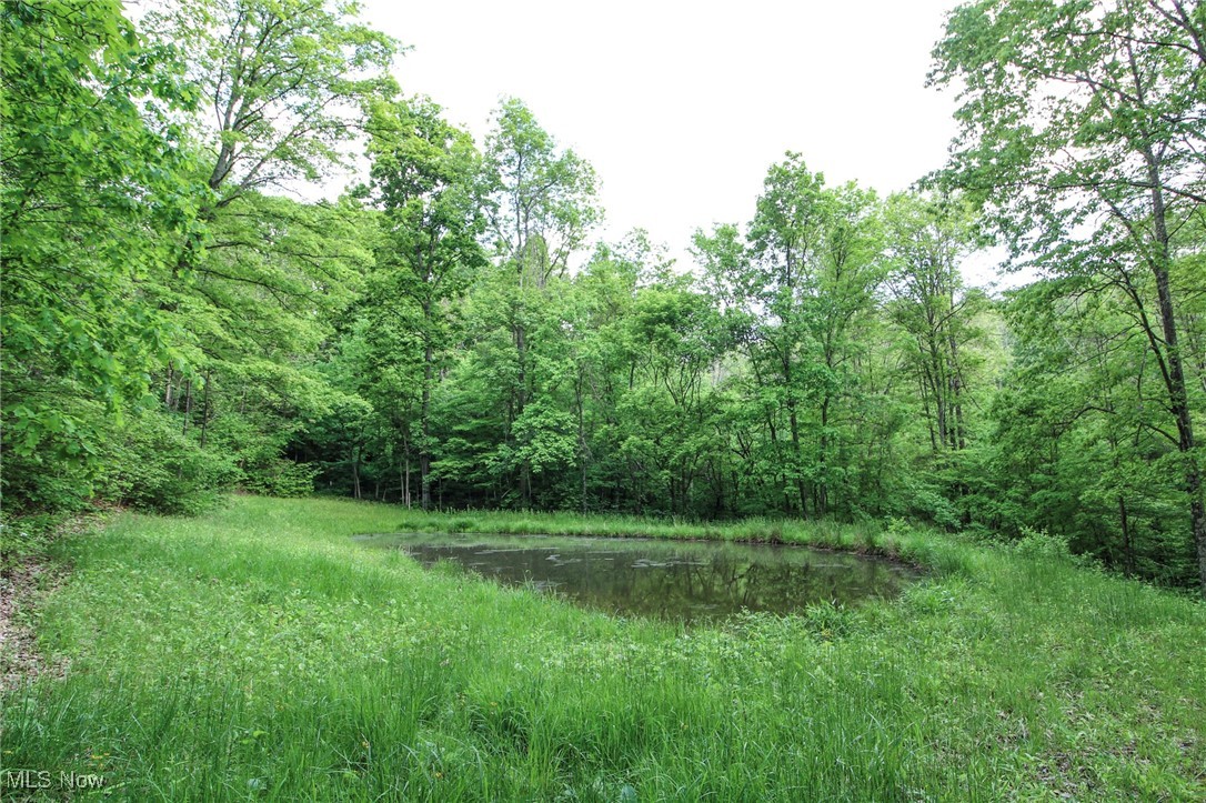 10195 Goosecreek Road, Roseville, Ohio image 40