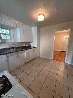 Carl Roevuck Resub/Nihousen Al - Residential Lease