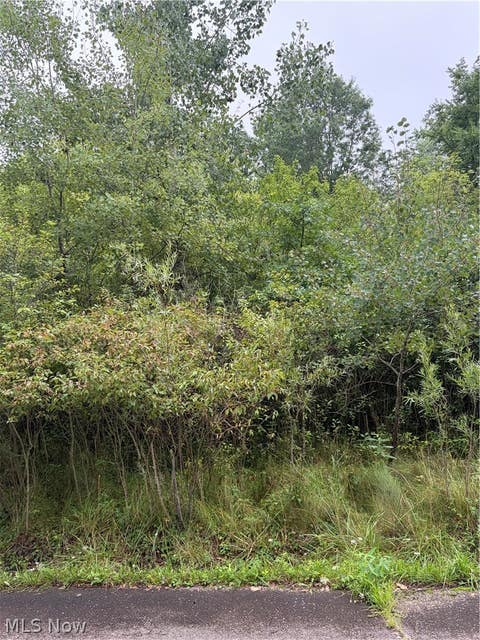Vacant Land For Sale - Eastview Avenue<br/> Youngstown, OH 44505