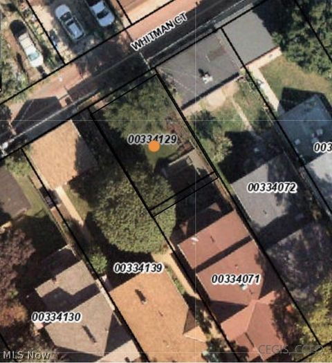 Tiny photo for 4202 Whitman Avenue, Cleveland, OH 44113 (MLS # 5190152)