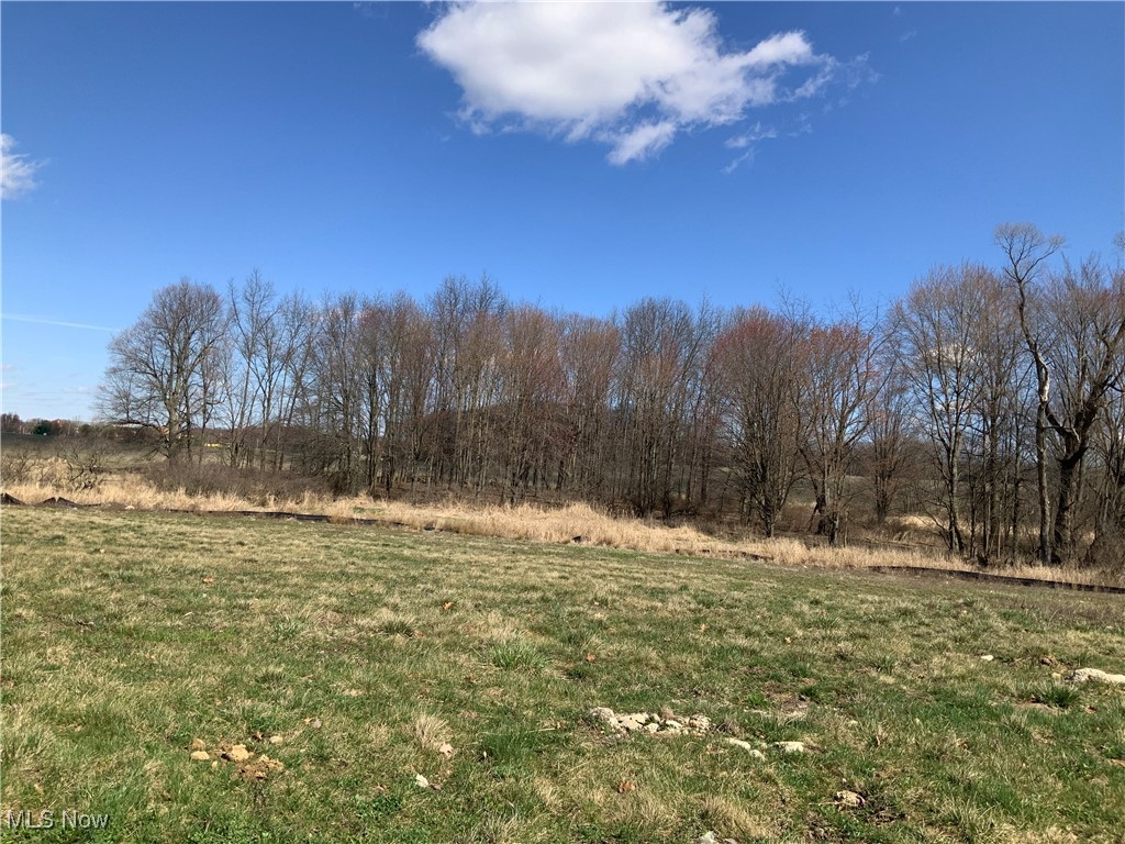 Greenview Avenue, Massillon, Ohio image 1