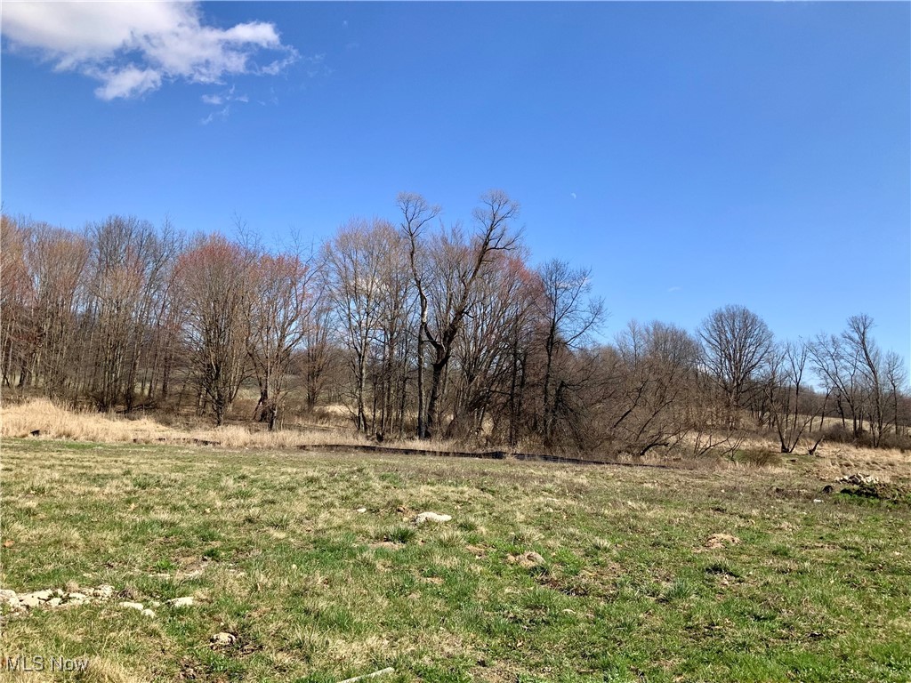 Greenview Avenue, Massillon, Ohio image 3