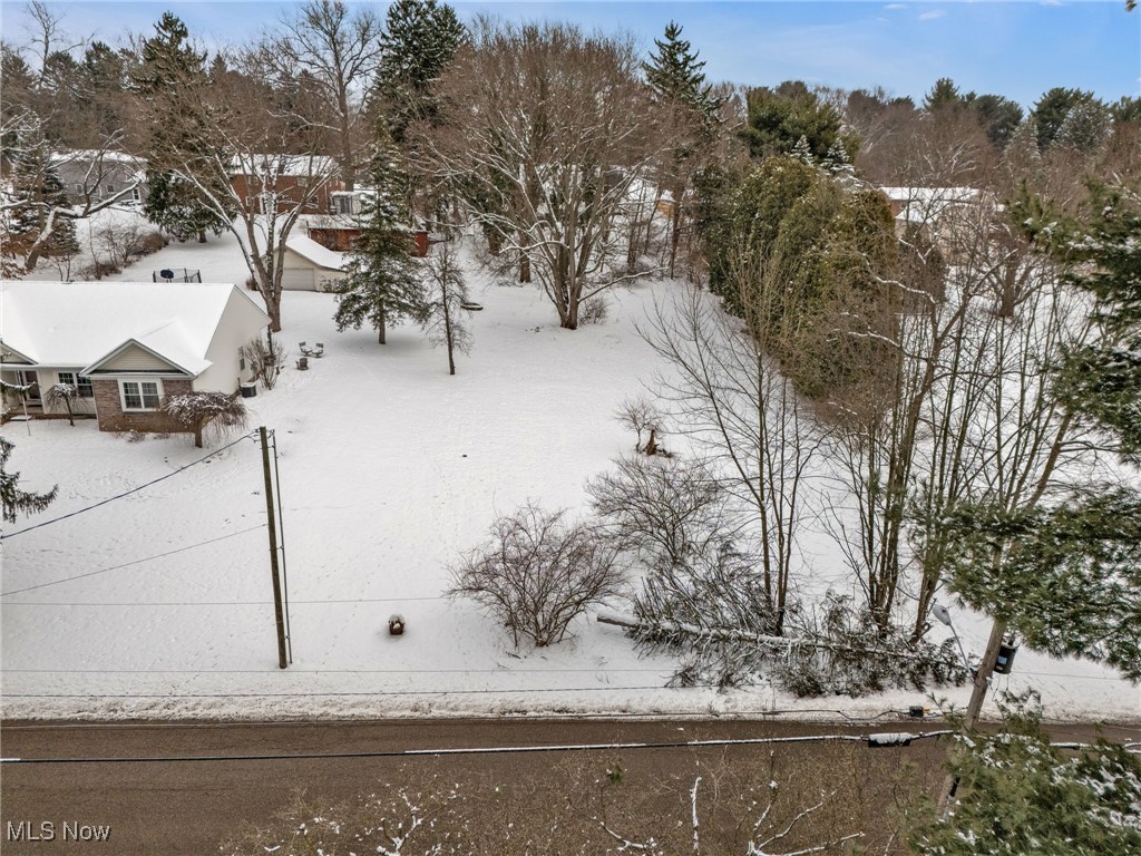 Elberta Avenue, Canton, Ohio image 7